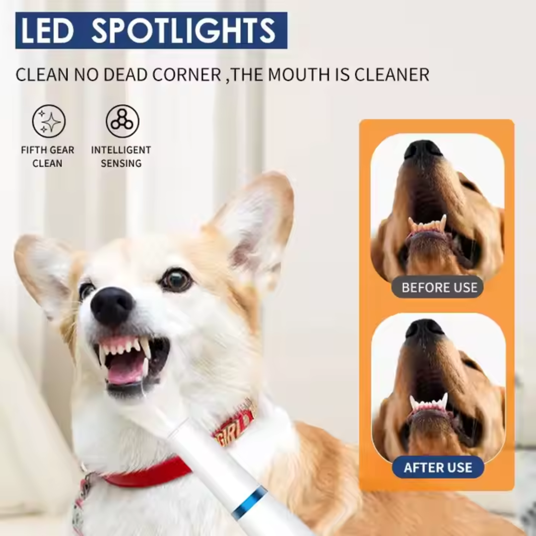 Limpiador De Dientes Eléctrico